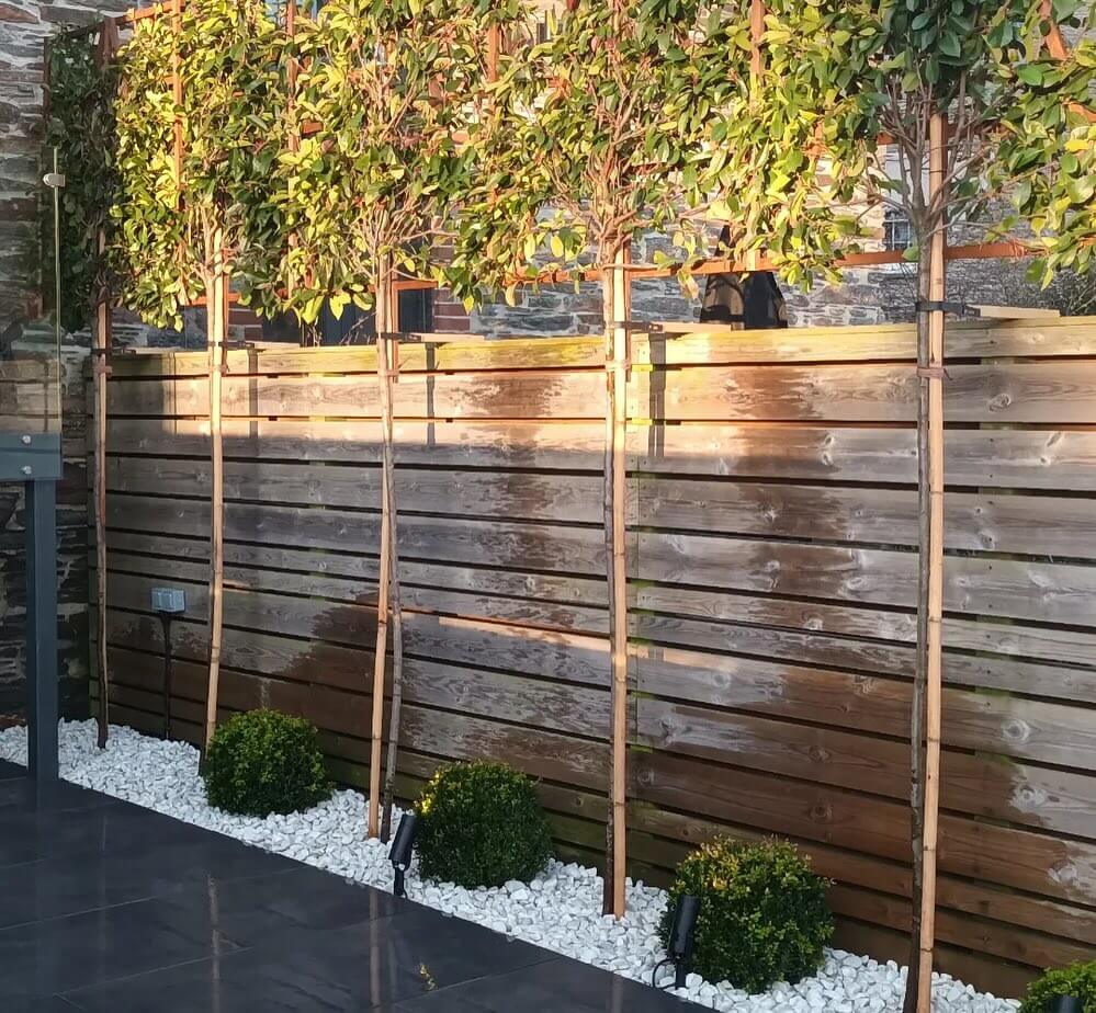 garden fence with trees planted infront to enhance design and privacy